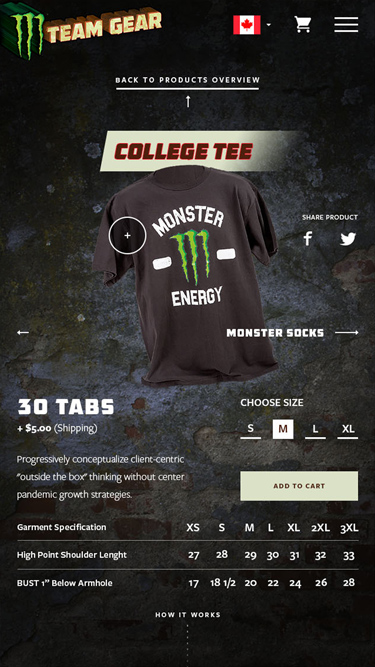 Monster Energy Gear, Ekko Media web design, video production and marketing