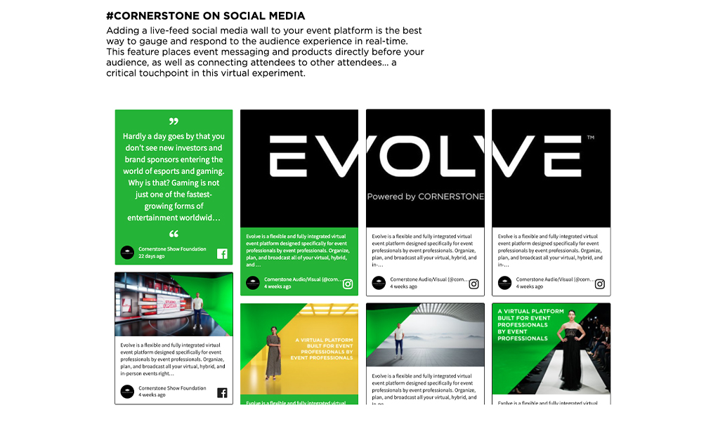 Ekko Media web design, video production and marketing